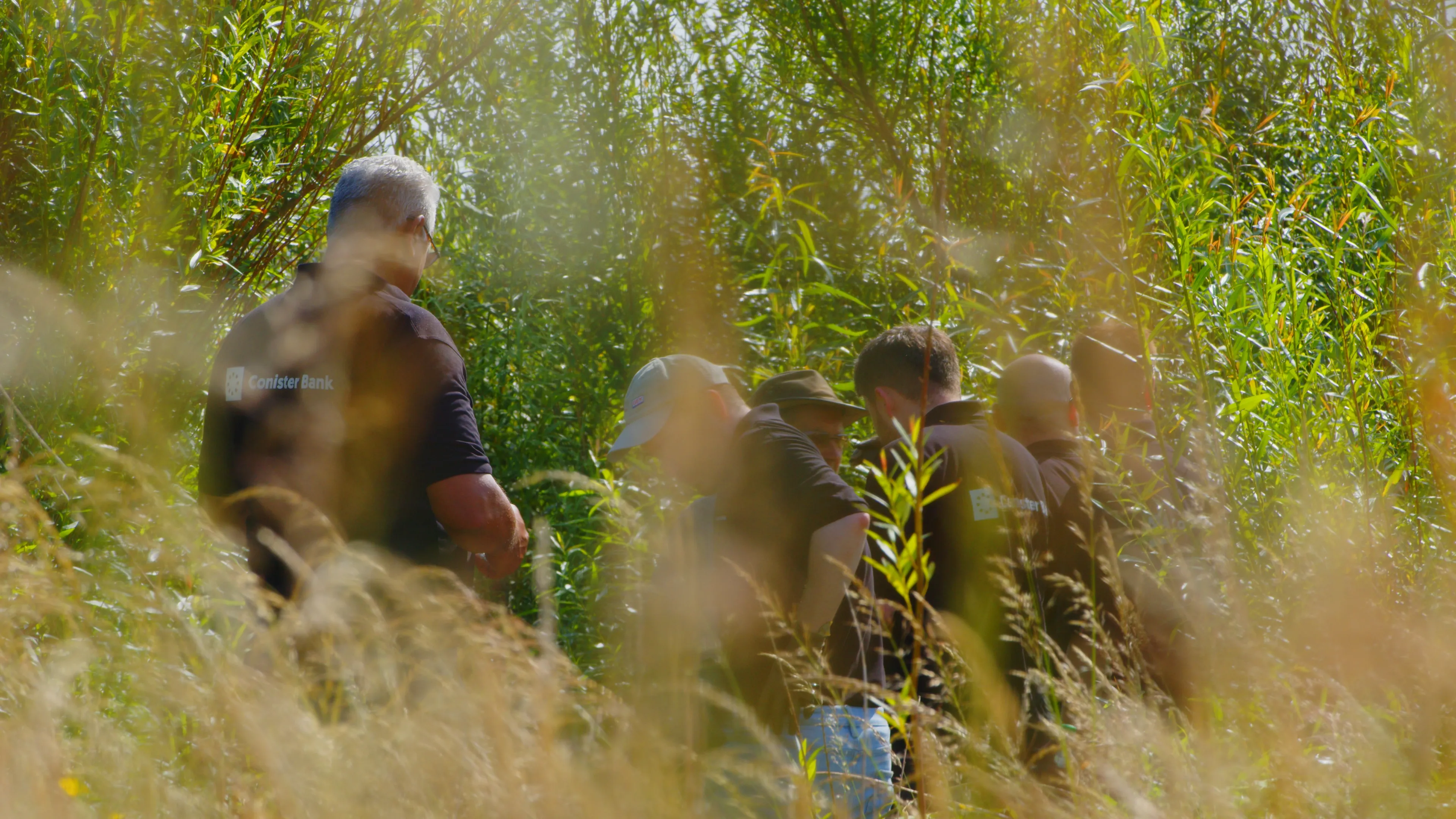 A group of people, partially obscured by tall grass, stand in a lush, sunlit forest. The scene conveys a tone of focus and mystery.